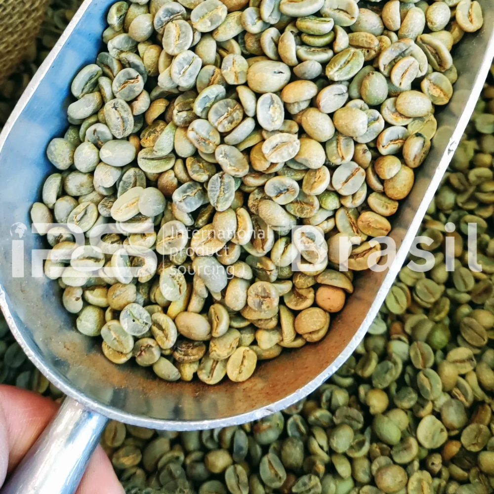 Coffee – Green Beans & Roasted Coffee | Arabica & Robusta | Brazil Origin | IPS Brasil