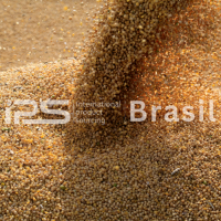 Wheat – Milling Grade | Human Consumption | IPS Brasil | 10,000 MT Monthly Supply