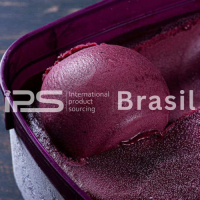 Açaí Products – Pulp, Powder & Purée | Premium Brazilian Superfood | IPS Brasil