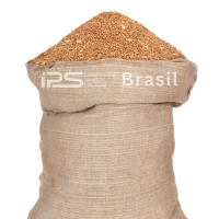 Wheat – Milling Grade | Human Consumption | IPS Brasil | 10,000 MT Monthly Supply