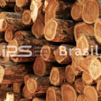 Teak & Hardwood Timber – Logs and Sawn Timber | Export Grade
