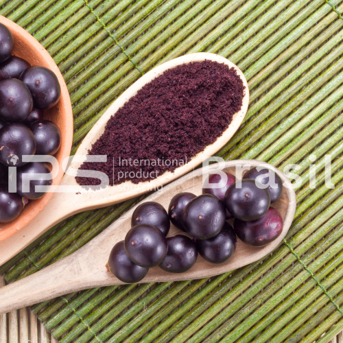 Açaí Products – Pulp, Powder & Purée | Premium Brazilian Superfood | IPS Brasil