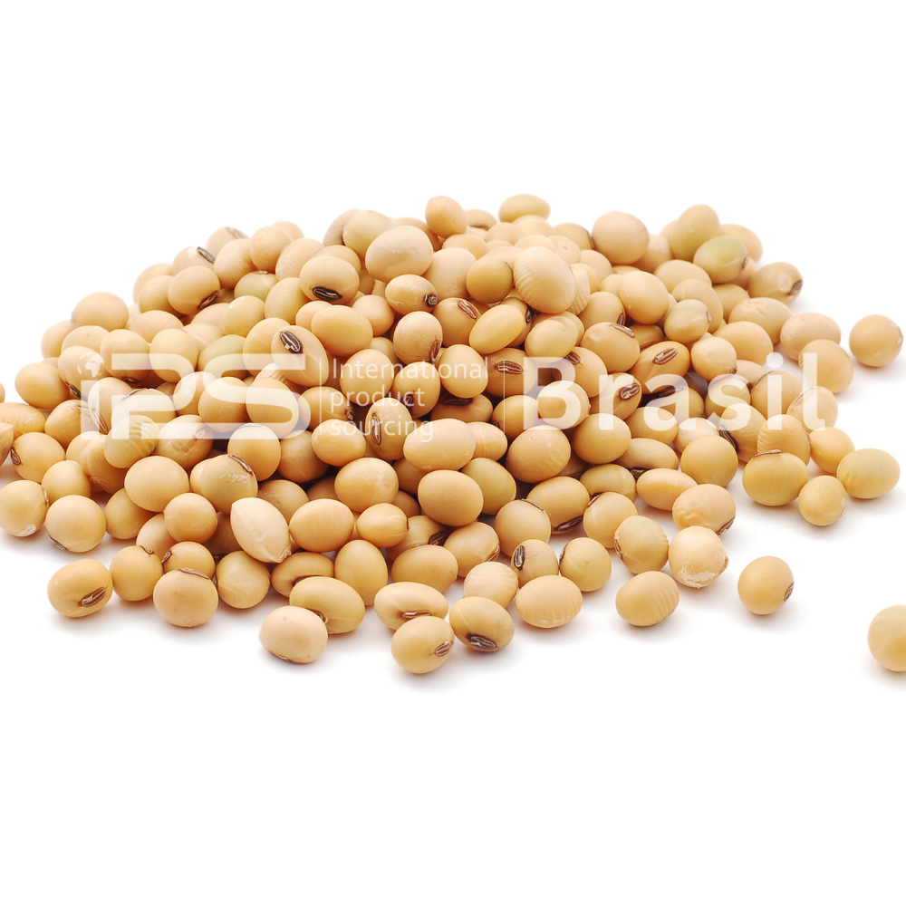 Soybeans – GMO & Non-GMO | Export Grade