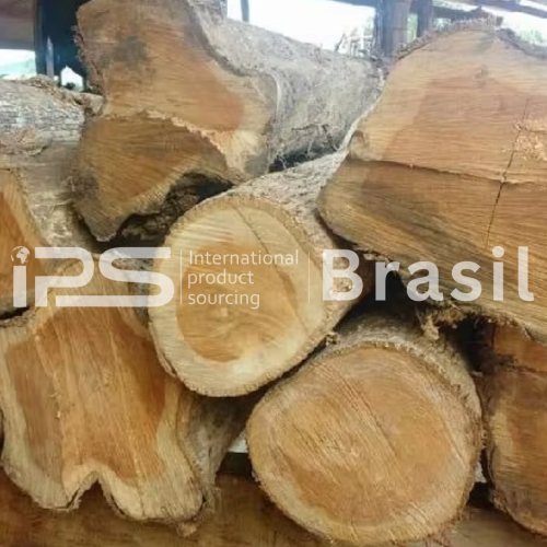 Teak & Hardwood Timber – Logs and Sawn Timber | Export Grade