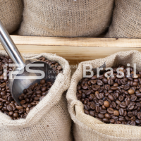 Coffee – Green Beans & Roasted Coffee | Arabica & Robusta | Brazil Origin | IPS Brasil